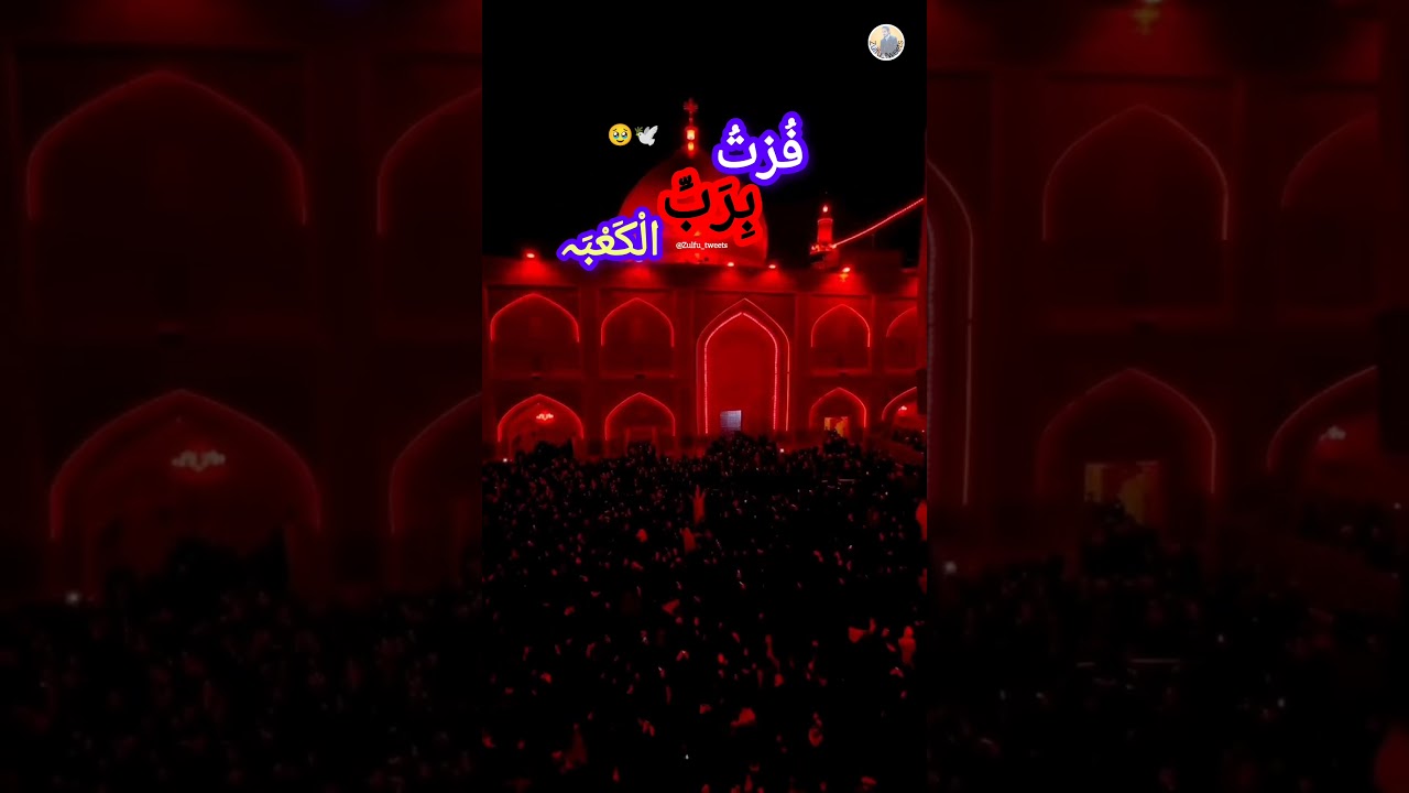 #ali #imamali #masjid #najaf #karbala #imamhassan #imamhussain #21ramzan #israel  #viral #iran #shia