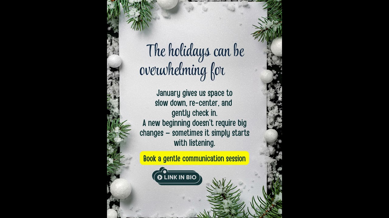 Fresh Start After a Busy Holiday Season Pet Communication Support