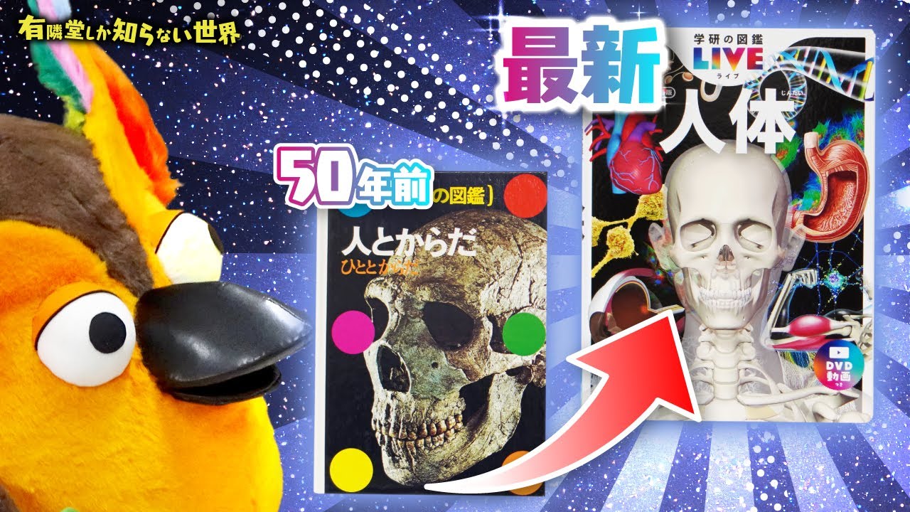 【編集担当の熱い解説】人体図鑑の世界 ～有隣堂しか知らない世界225～