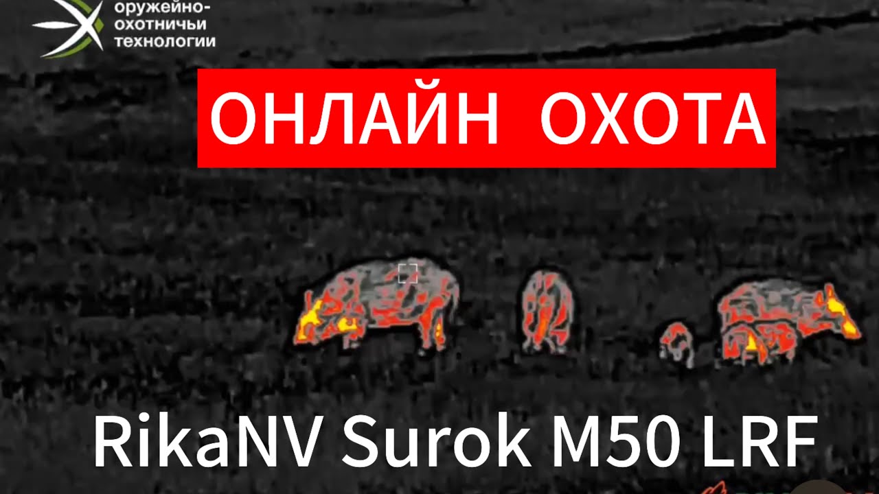 ТЕПЛОВИЗОР RikaNV Surok M50 LRF В ДЕЛЕ! Видео с охоты на кабана
