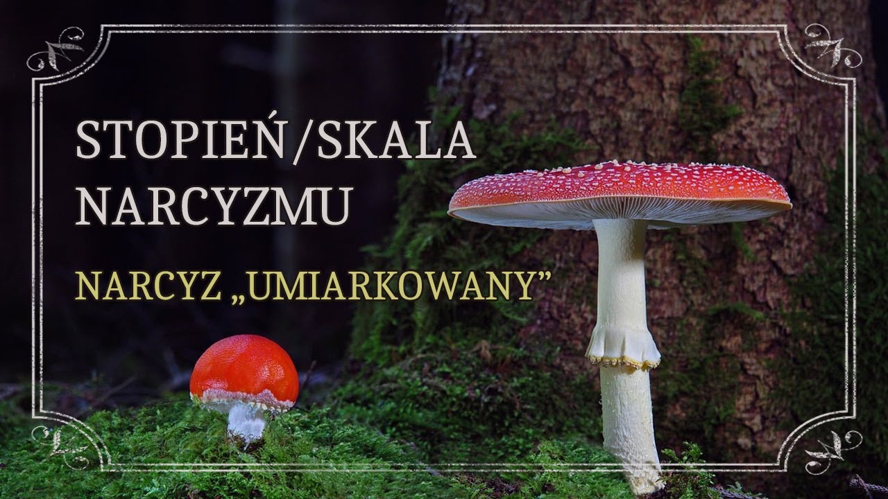 Skala narcyzmu - NARCYZ umiarkowany a zaburzenie narcystyczne (DSM-IV)