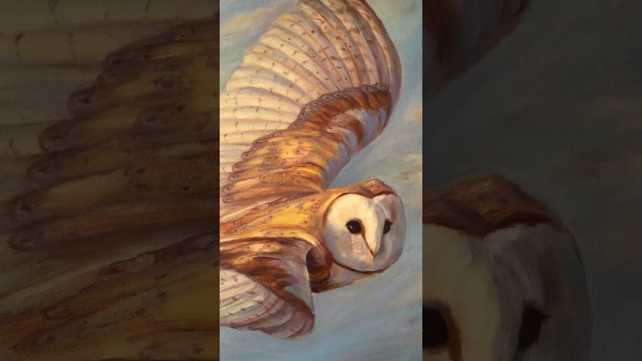 Rise Above Barn Owl ! 