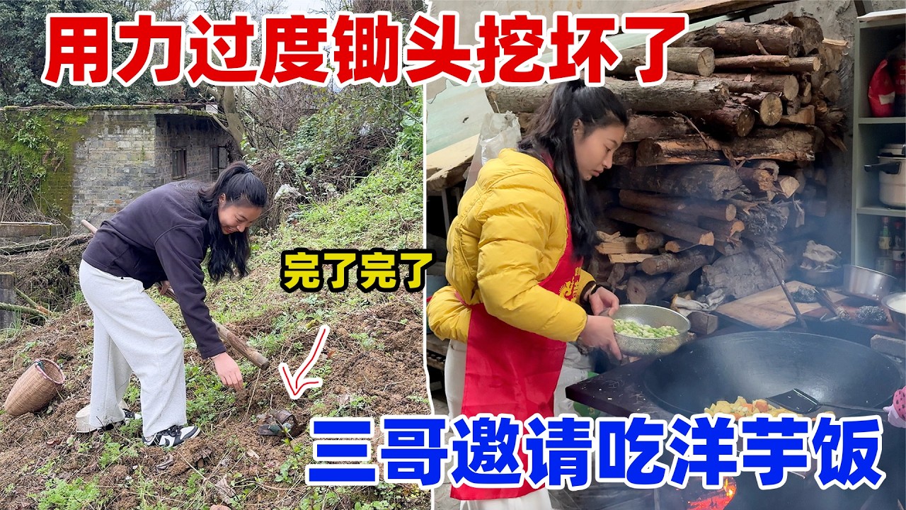 堂哥太热情了，干完活非要请我们吃饭，老房周围全是野菜，回家做一大锅土豆饭简直太香了