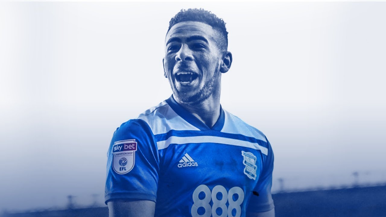 Che Adams 2018/19 - ON FIRE -
