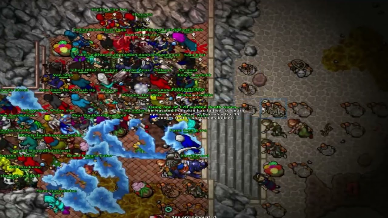 Tibia Epoca War -  Roshamuul Dream