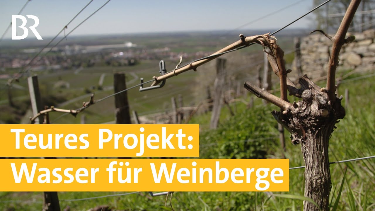 Kampf gegen Trockenheit - Projekt zur Weinbergbewässerung  | Unser Land | BR