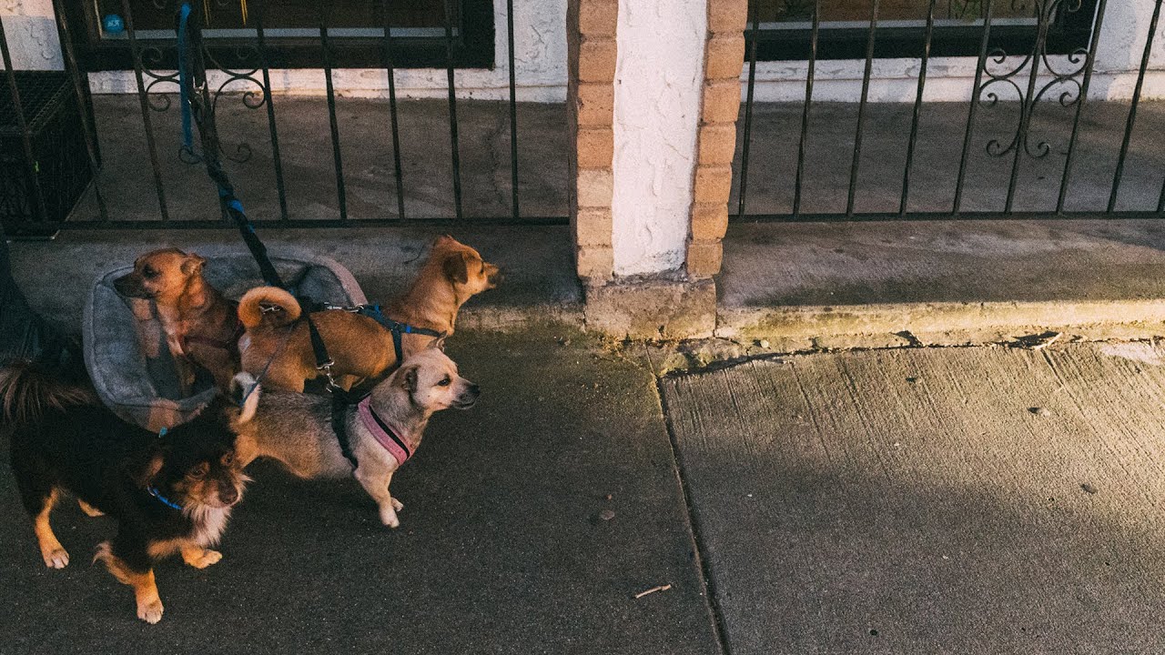 26/2 Presentes da EMG e Lake Tahoe • Crypta Tour EUA 2024