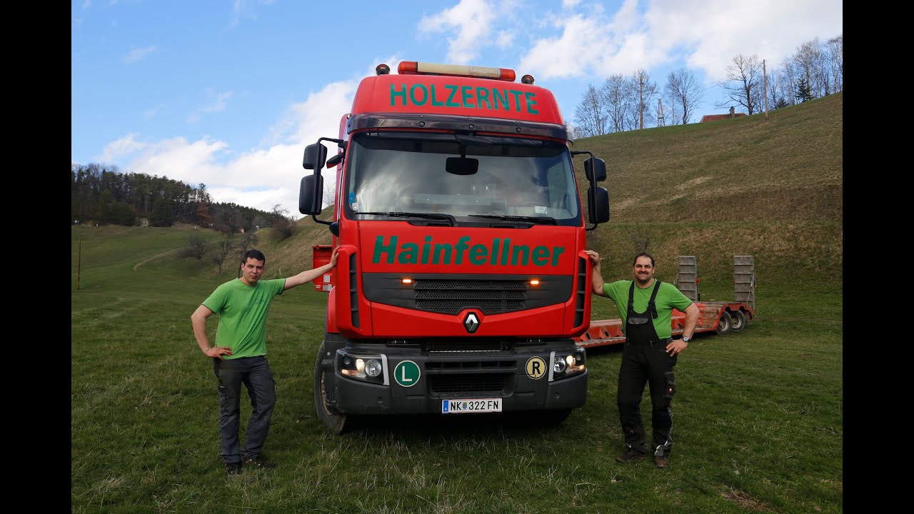Holzernte Hainfellner