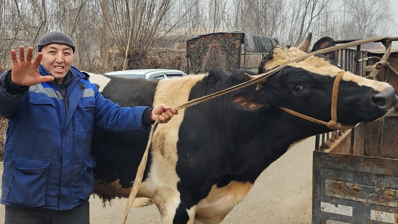 12 февраль Богдод ёнди 2026 йил 