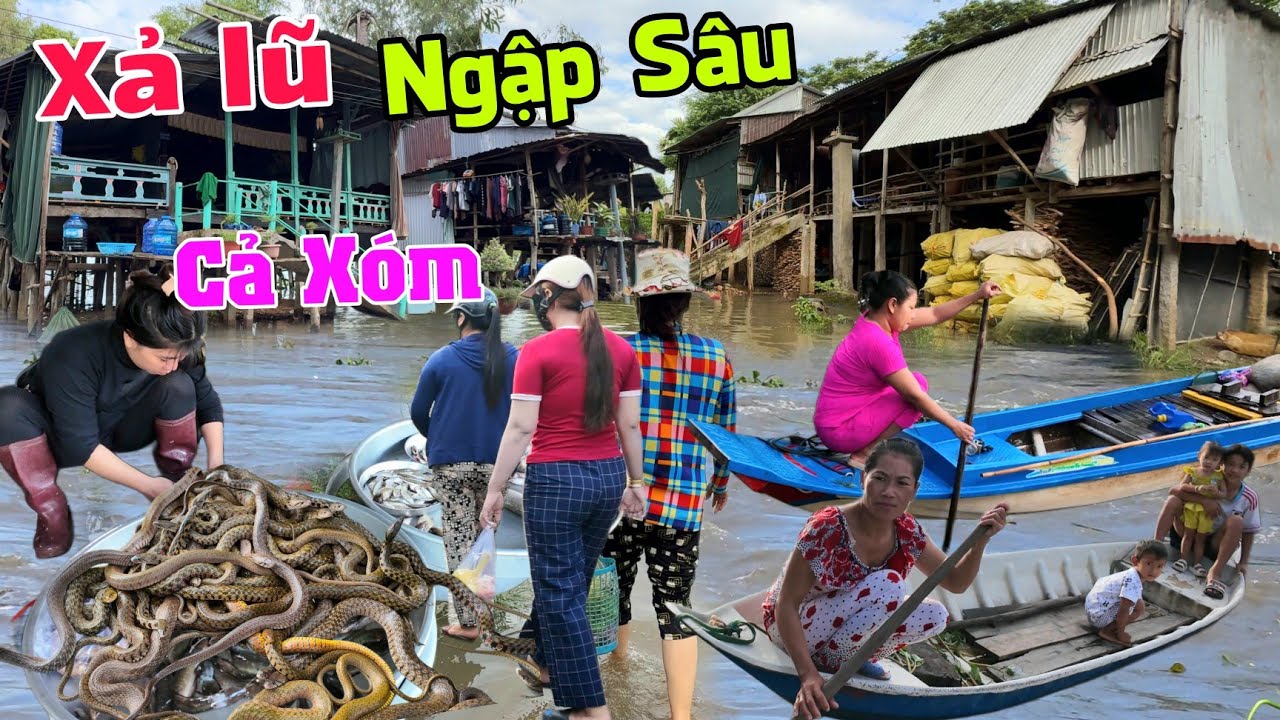 Lũ lên đỉnh điểm ngập sâu cả xóm biên giới Campuchia - Rắn nước giá rẻ chợ Cống Cây Mít