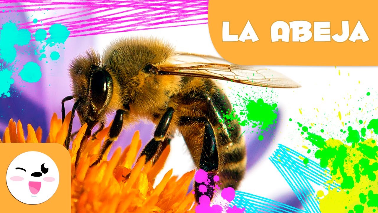 La abeja 🐝 Animales para niños 🍯 Episodio 4