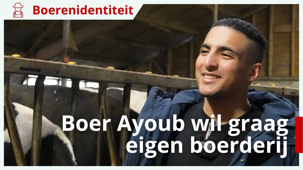 Amsterdamse boer Ayoub wil graag eigen boerderij - De Boerenidentiteit