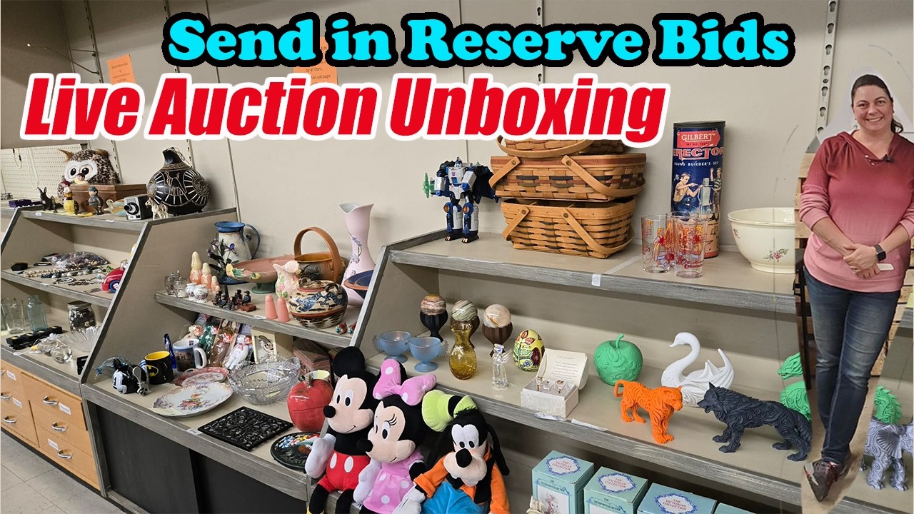 Live Auction Unboxing! Vintage, collectibles & fun finds—join me and send in your bids!