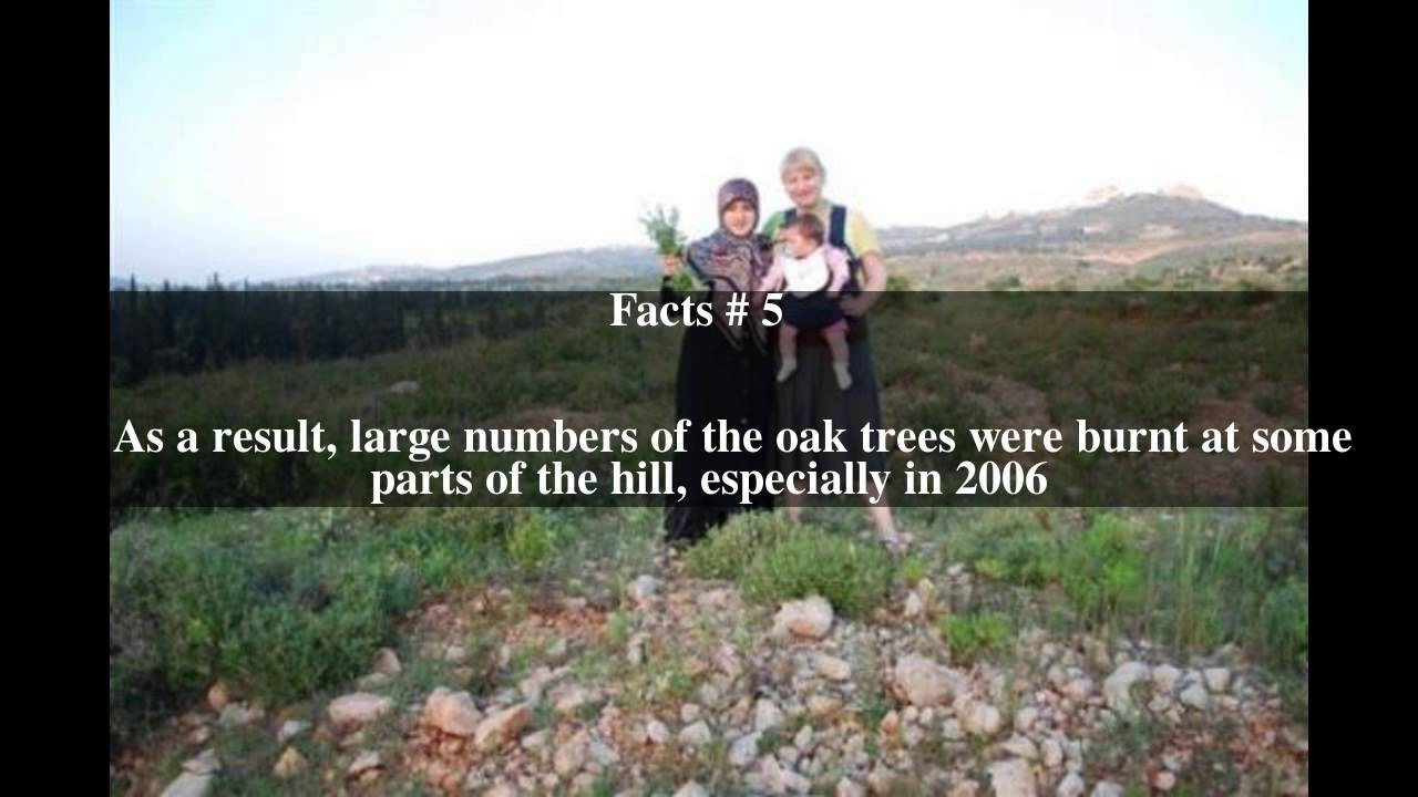 Mahrouna Top # 8 Facts