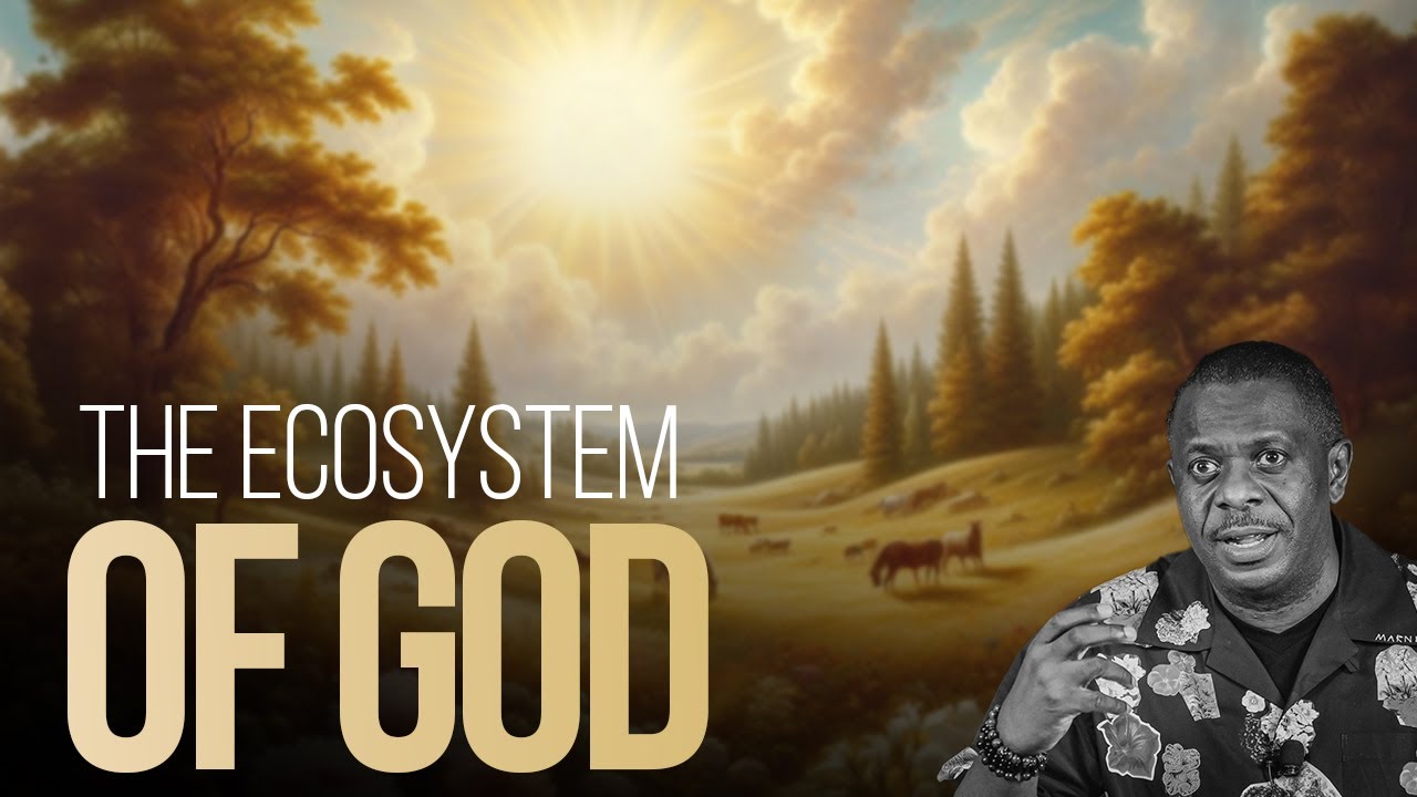 The Ecosystem of God