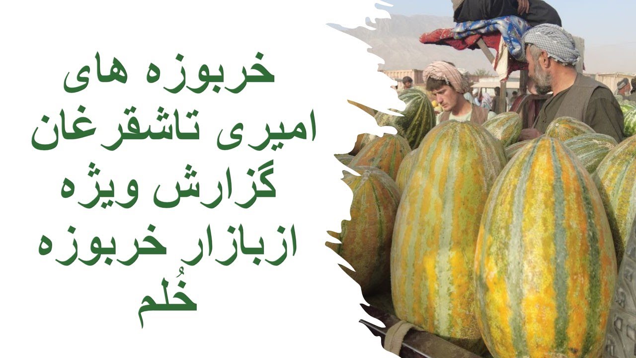 خربوزه های امیری تاشقرغان /خربوزه بازارخُلم گزارش ویژه ازعصمتی نژاد sweet melon Amiry khulm cityAFG