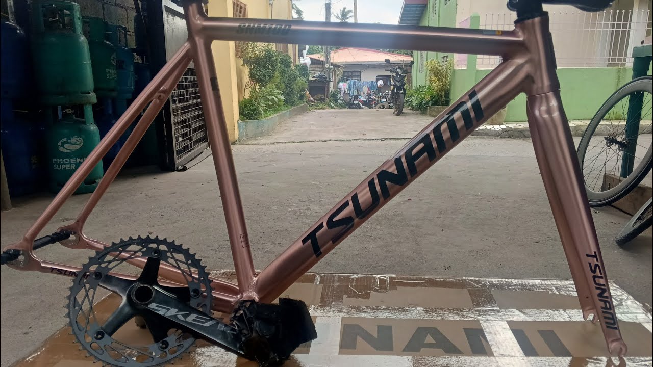 Tsunami Snm100 Rose Gold Limited Edition dream bike build