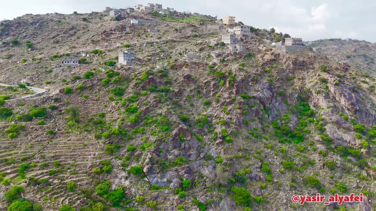 يافع 2024 ونعم رجال الدهارش تشرفنا فيكم رهوة ضول