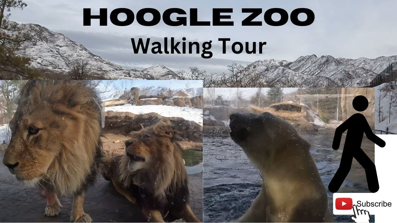 Hogle Zoo, Salt Lake City, UT - Walking Tour - DEC 2022 - WINTER