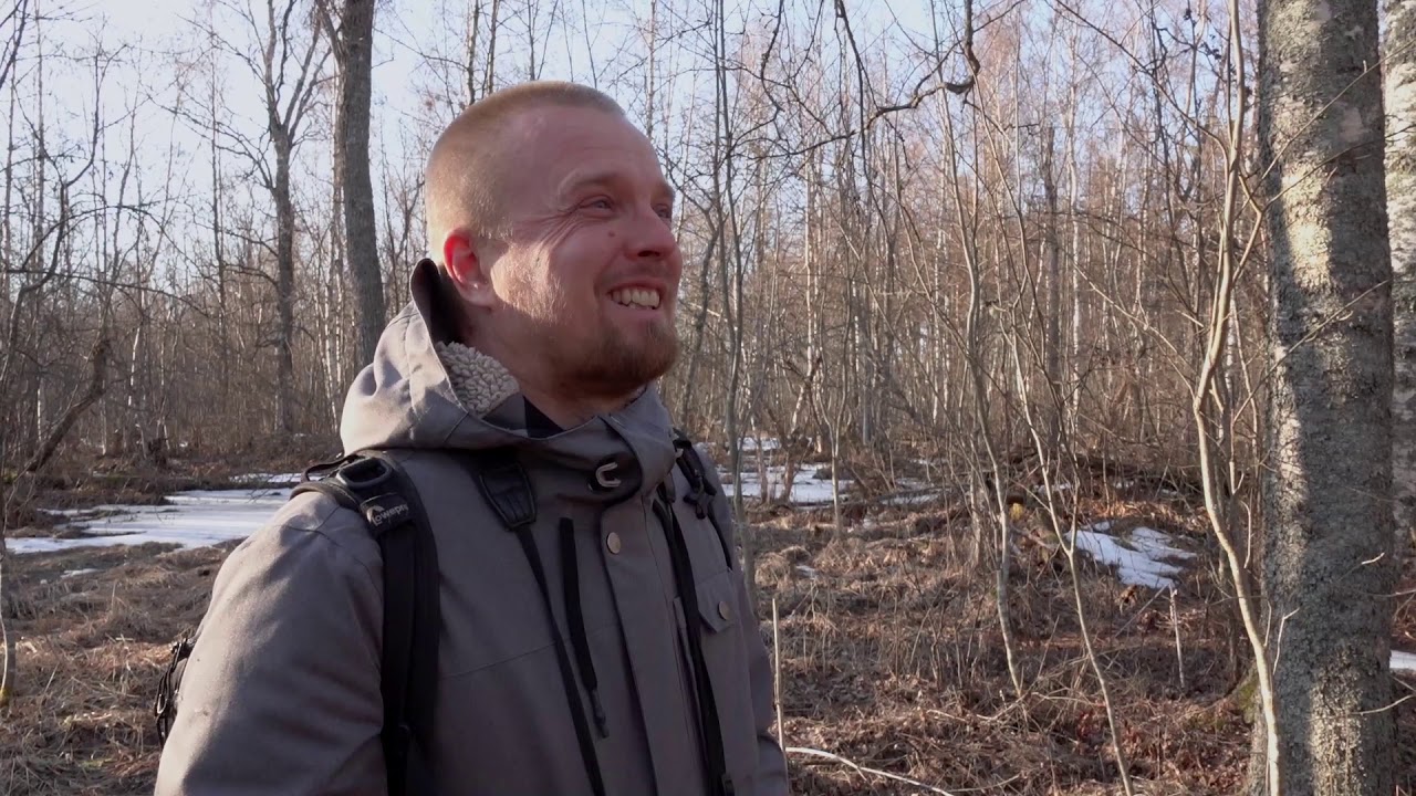 SIIPIVEIKOT osa 1: valkoselkätikka