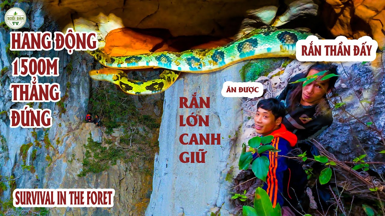 Survival In The Forest Tập Cuối - Chinh Phục Đỉnh Cao Rắn Lớn Canh Hang Và Cái Kết ✧ Suối Bản TV