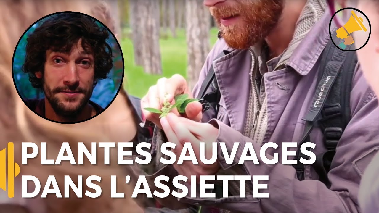 Des plantes sauvages dans ton assiette - Florent à Paris - Les Haut-Parleurs – COP21