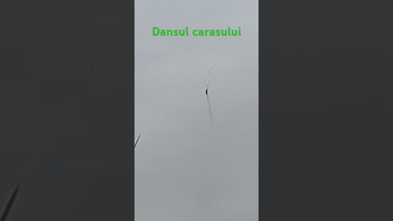 Carasi la pluta !