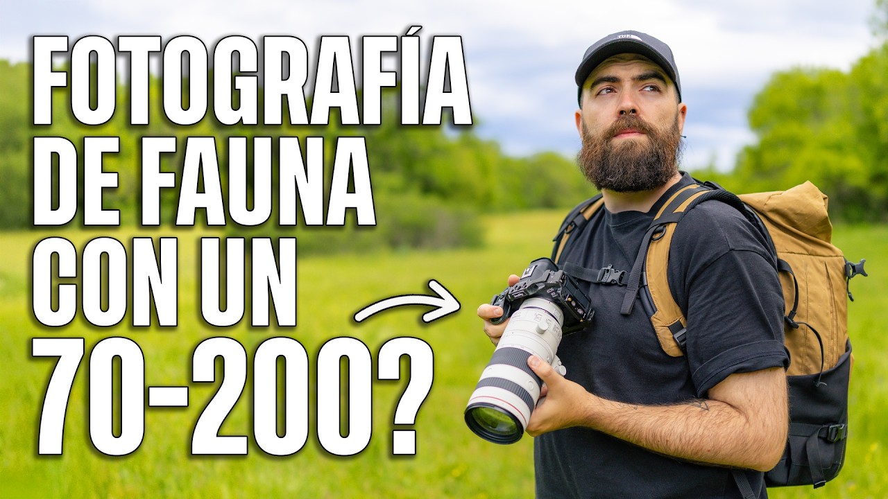 Se puede hacer fotografía de fauna con un 70-200? Canon RF 70-200 2.8 Z + Multiplicador x1.4