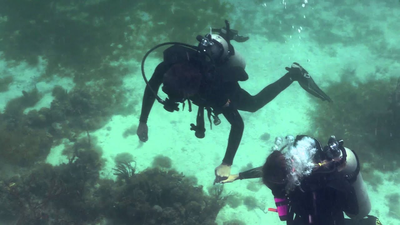 Drone to Underwater Filming