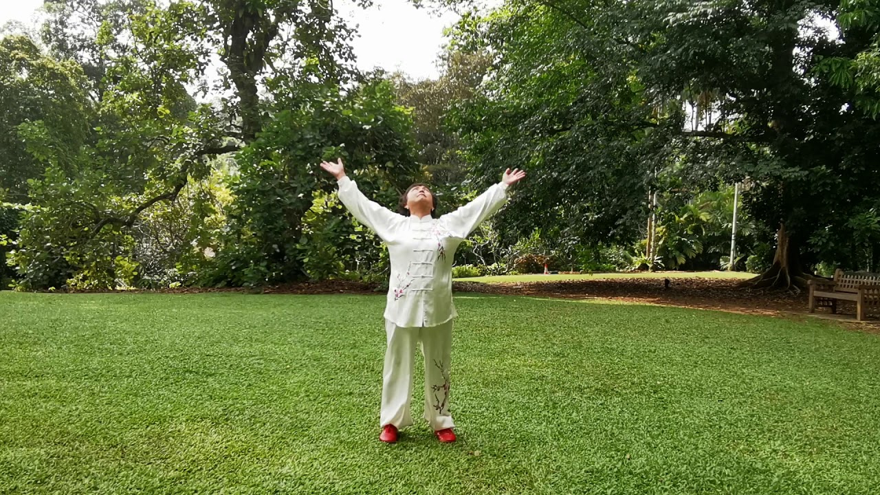 Alice Ho: Health Qigong Ma Wang Dui