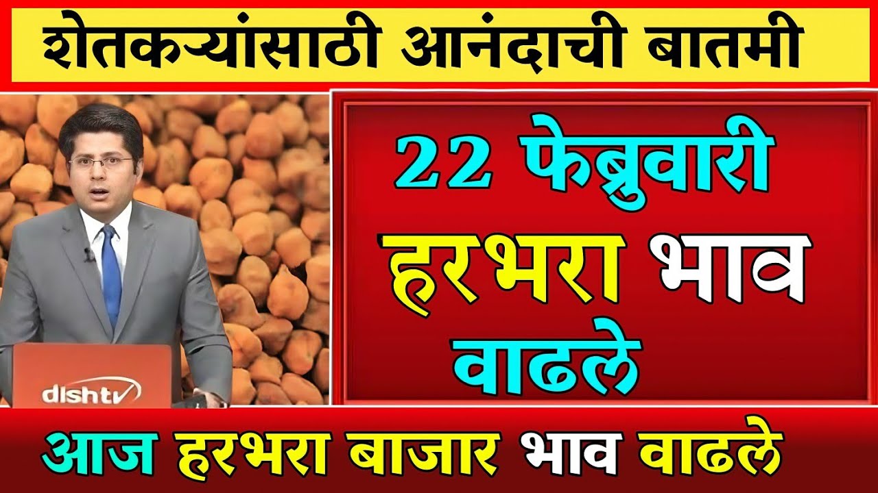 हरभरा दरात मोठी वाढ? पहा आजचे ताजे बाजारभाव | कोणत्या मार्केटमध्ये मिळाला सर्वाधिक दर?