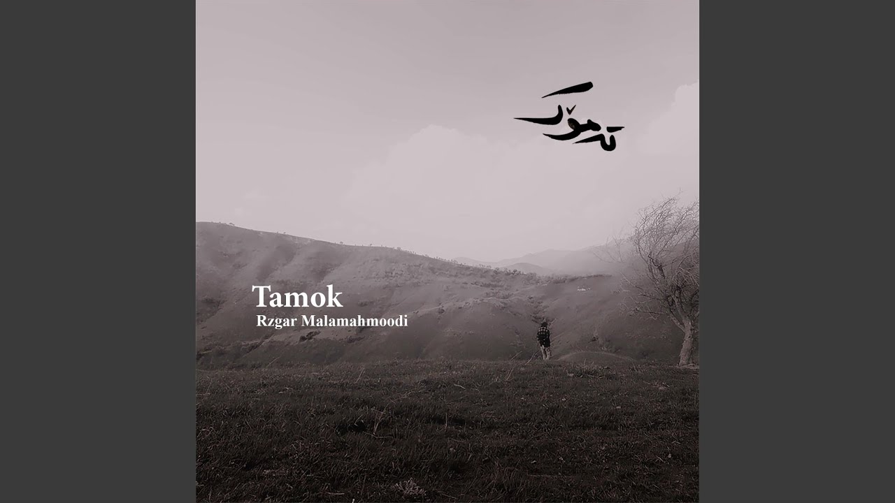 Helweda (Displaced2) (feat. Amir Mahmood Safarpour)