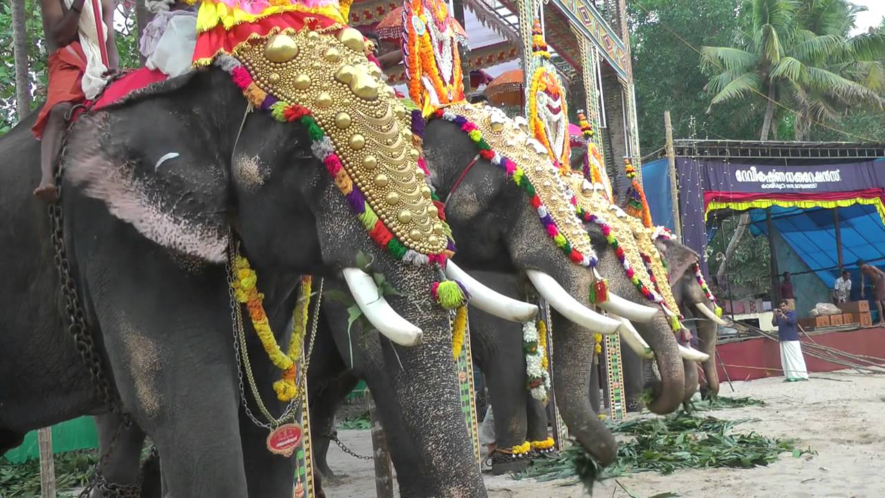 Elephants at a local Hindu Festival, Kerala
