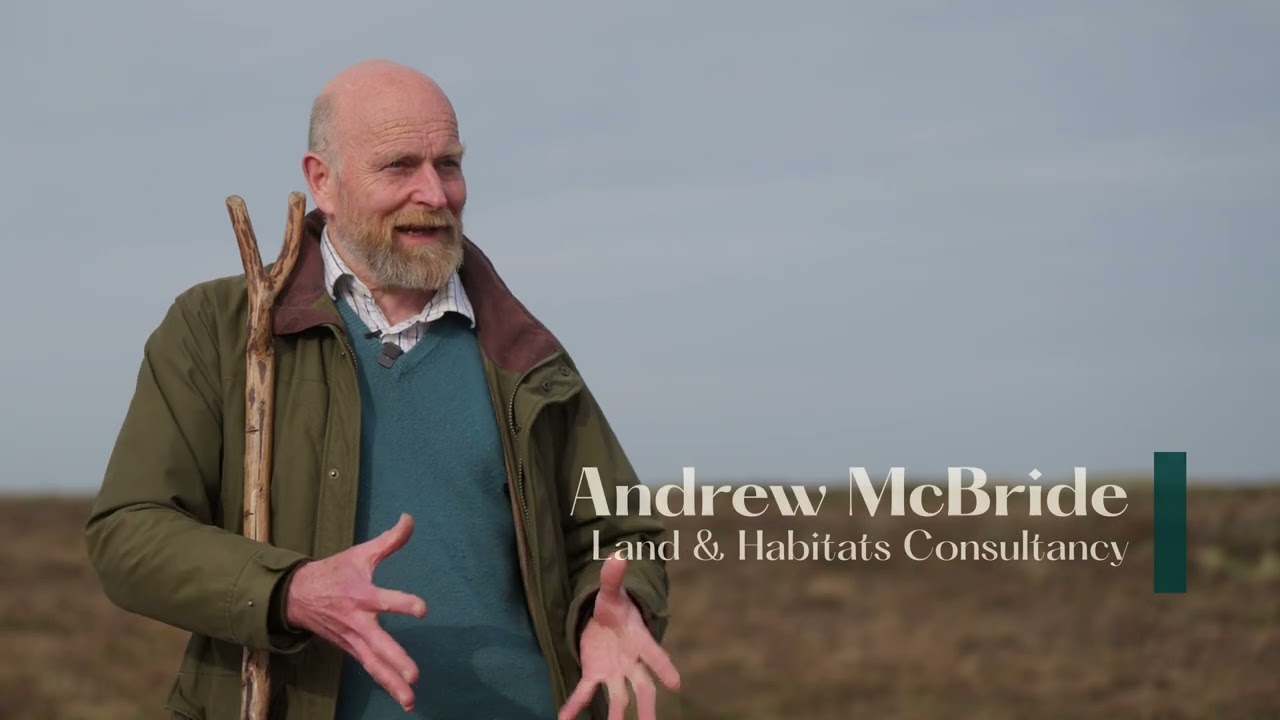 Peatland Water Sanctuary