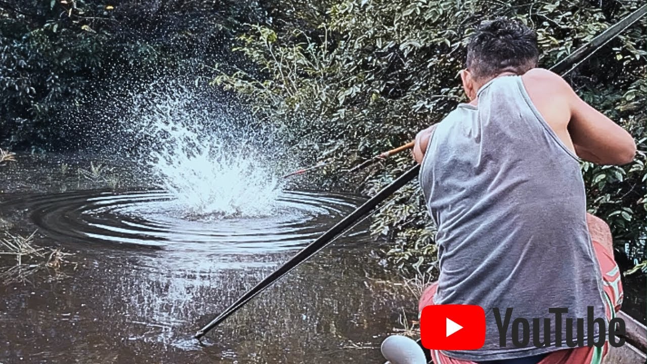 PESCARIA DE CURIMATÃ BRUTA COM ARCO E FLECHA NA AMAZÔNIA