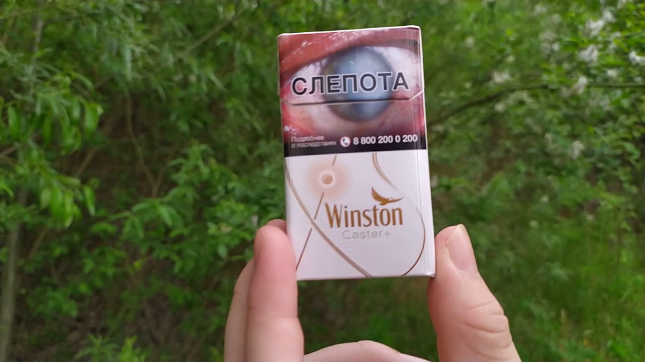 Winston Caster +. Обзор, цена, вкус, стоит ли покупать?