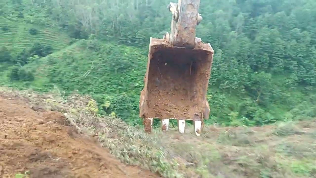 12 tháng 7, 2025