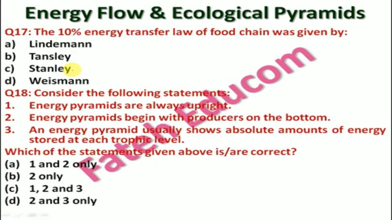 35 Most Expected MCQs from 