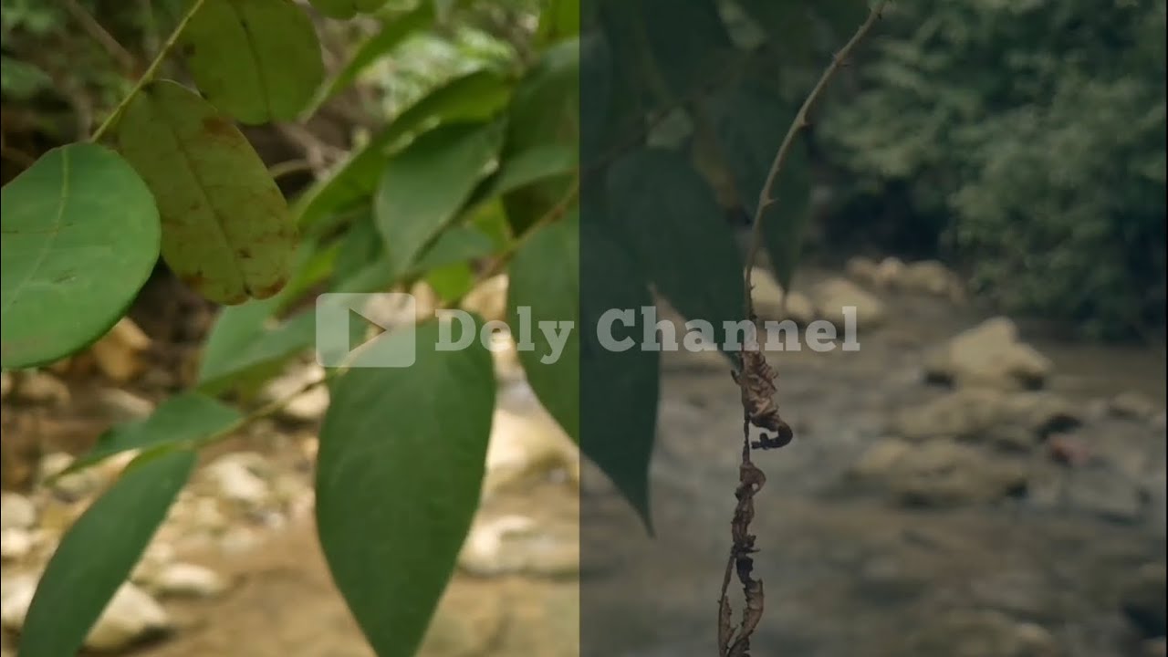 Cinematic Colour Grading in Kinemaster || Android