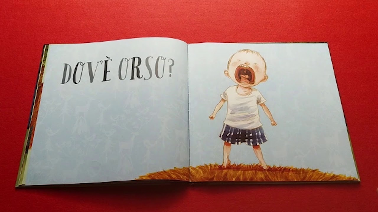 Libro per bimbi:  Dov' è orso?