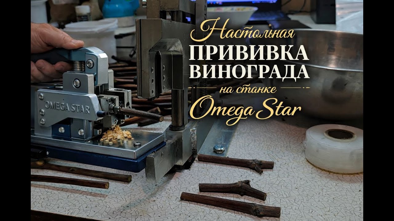 Настольная прививка винограда на станке Омега Стар