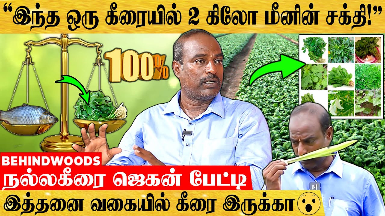 🥬எந்த கீரையில் என்ன நன்மை இருக்கு தெரியுமா..? - கீரைகளின் A To Z பயன்கள்! - நல்லகீரை ஜெகன் பேட்டி