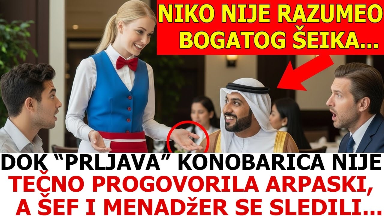 NIKO NIJE RAZUMEO BOGATOG ŠEIKA, DOK 
