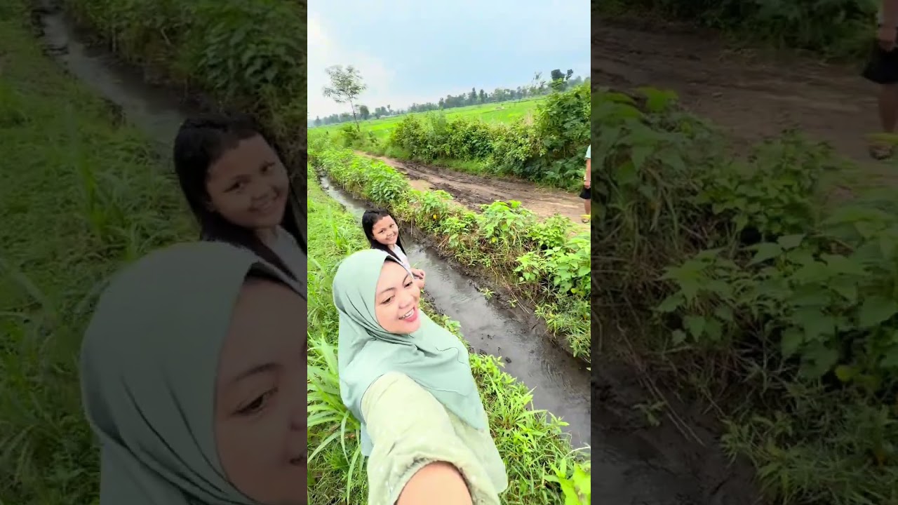 Cari kangkung ke sawah lanjut kita tumis