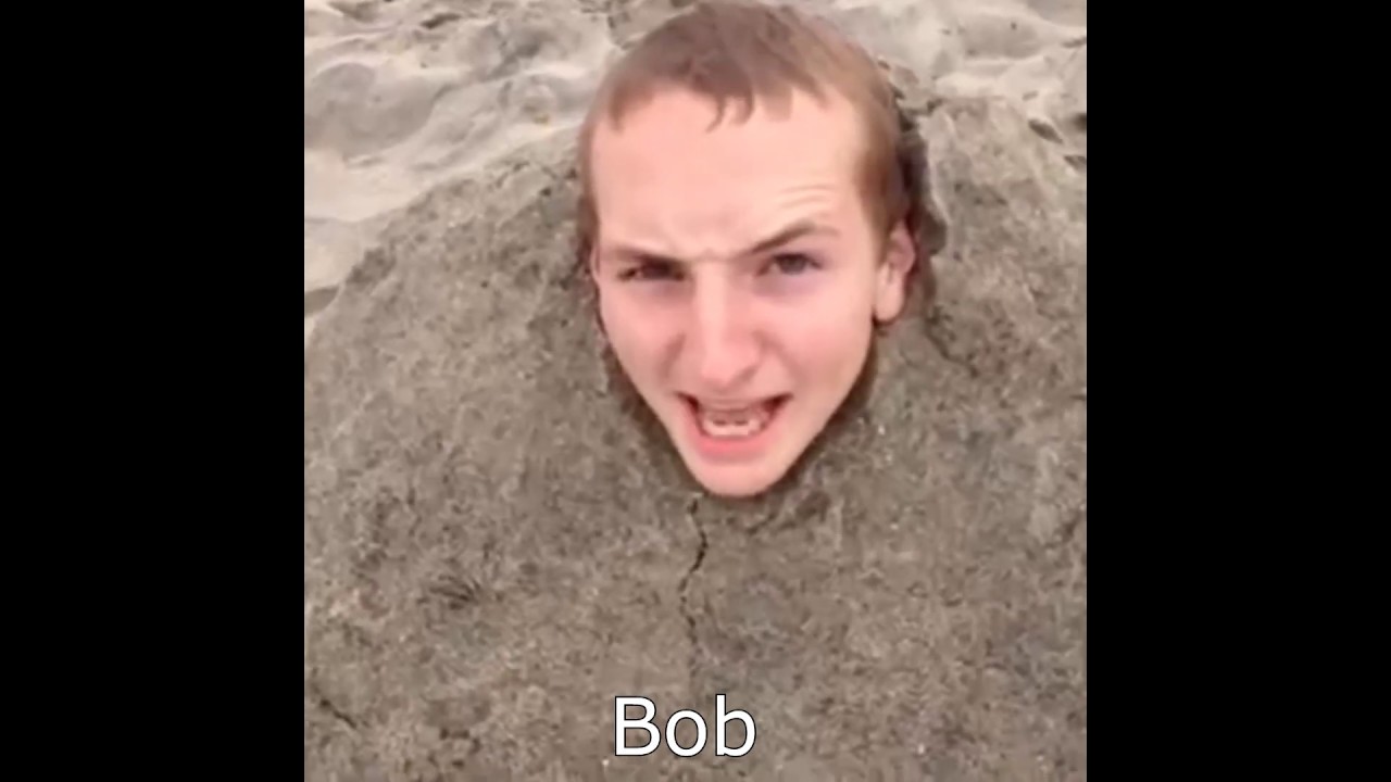 Animal Crossing As Vines, Tik Toks, etc: The Sequel