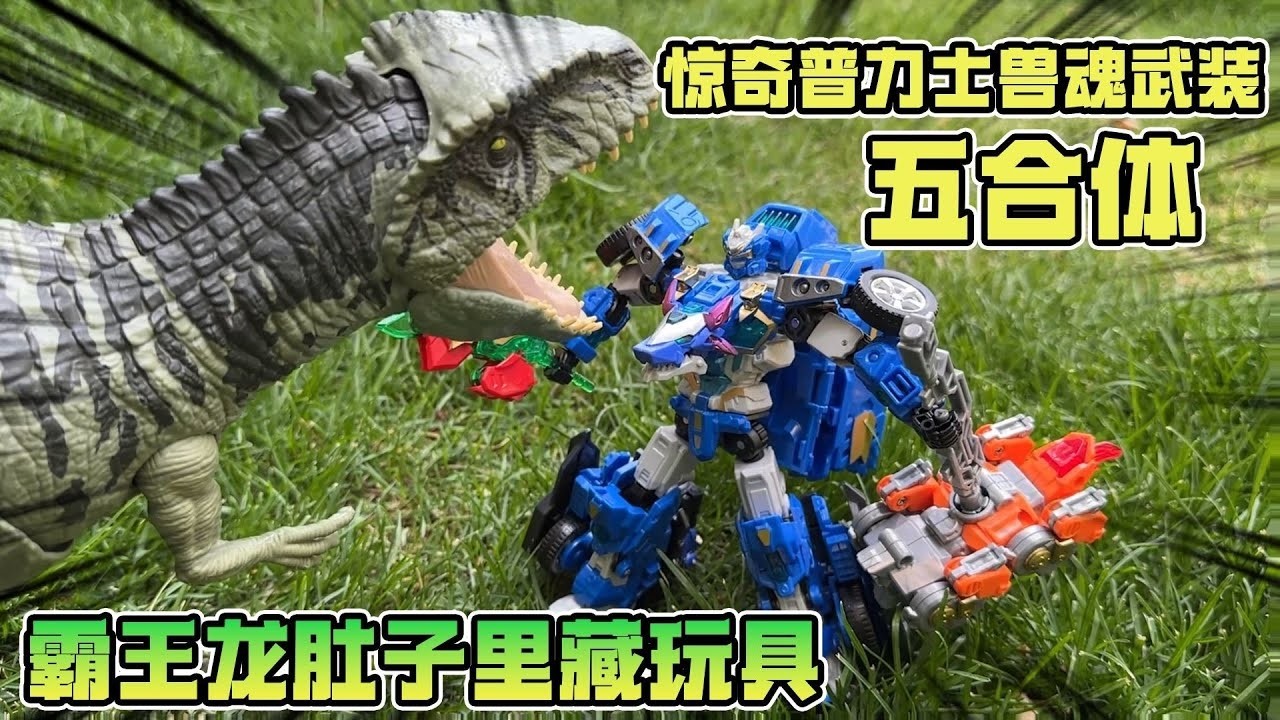 一米长的霸王龙肚里竟藏着玩具？惊奇普力士兽魂武装五合体 智斗南方巨兽龙 #变形联盟  #变形联盟机甲创变 #变形联盟5烈兽战纪