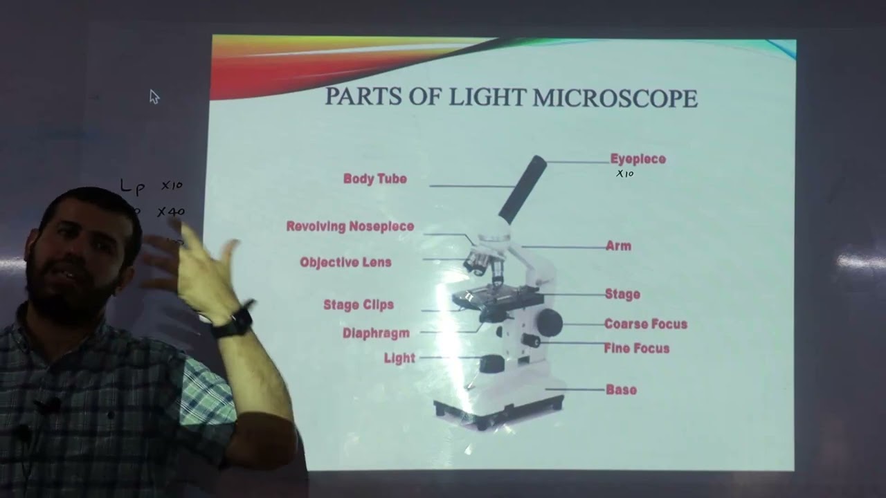 Lab 1 Microscopy  Bacterial staining
