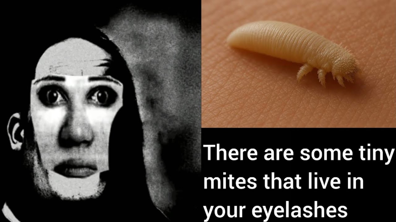 Mr İncredible Becoming Uncanny Disturbing Facts Part 7 #incrediblebecominguncanny #disturbingfacts
