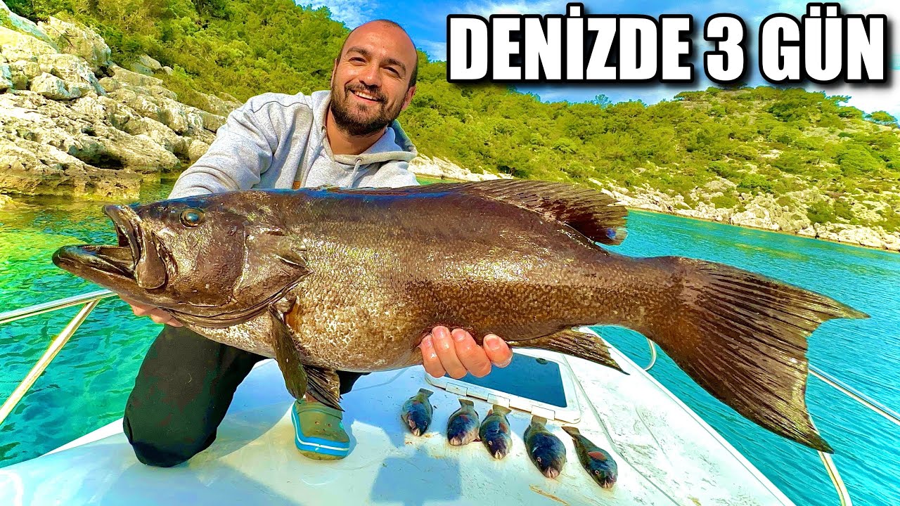 TEK BAŞINA DENİZDE 3 GÜN - TEKNEDE KAMP (4K)
