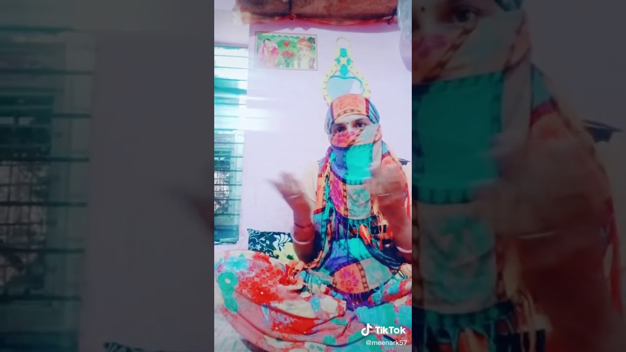 P.l.m meena